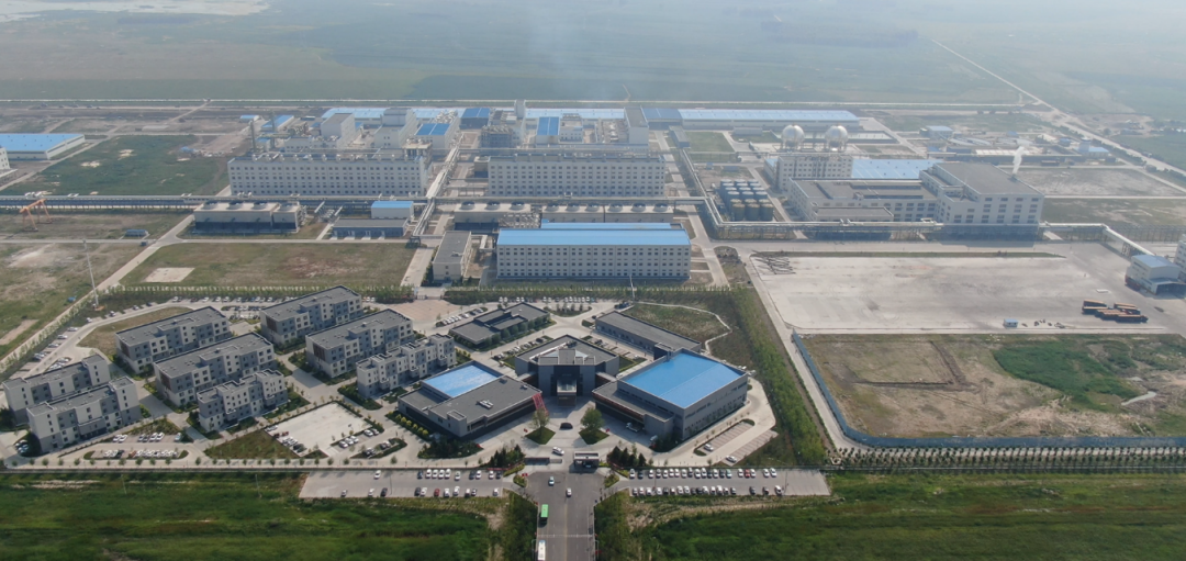 【国企改革三年行动】球王会：完善产业投资管理体系 打造国资投资广新品牌