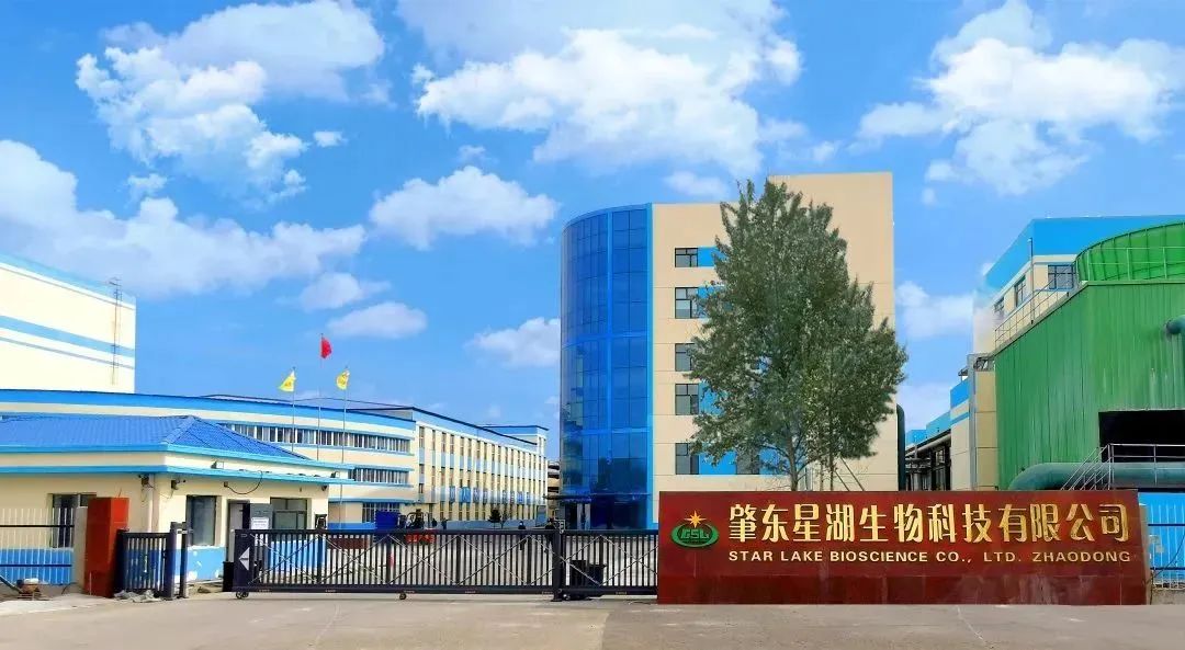 球王会深入贯彻全省高质量发展大会精神（四）