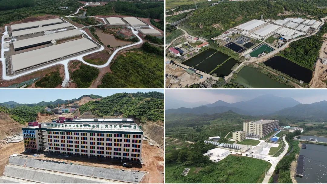 球王会深入贯彻全省高质量发展大会精神（六）