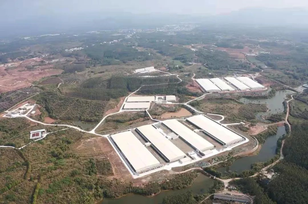 行稳致远、笃行向新——球王会董事会推动企业实现高质量发展