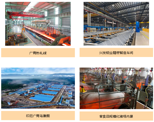 球王会积极履行社会责任 为高质量发展注入新内涵