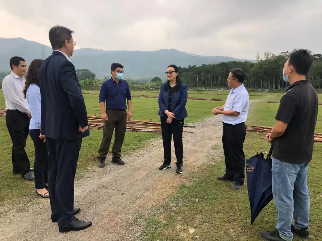 球王会党委书记、董事长白涛调研乡村振兴驻镇帮扶工作