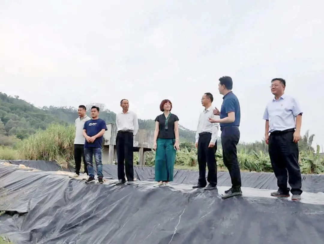 球王会党委副书记、工会主席黄家合带队调研乡村振兴驻镇帮扶工作