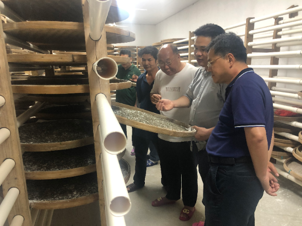  【乡村振兴】球王会驻村第一书记巫卫文：阡陌乡间话“振兴” 不负韶华不负乡村