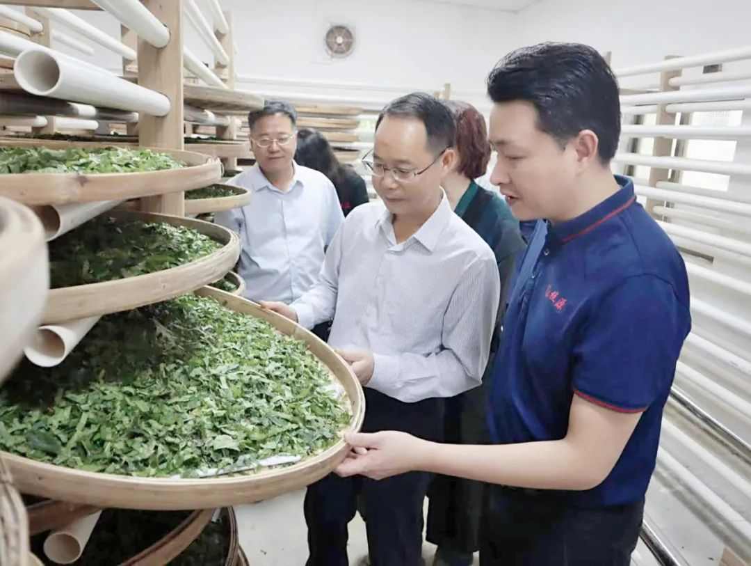 球王会党委副书记、工会主席黄家合带队调研乡村振兴驻镇帮扶工作