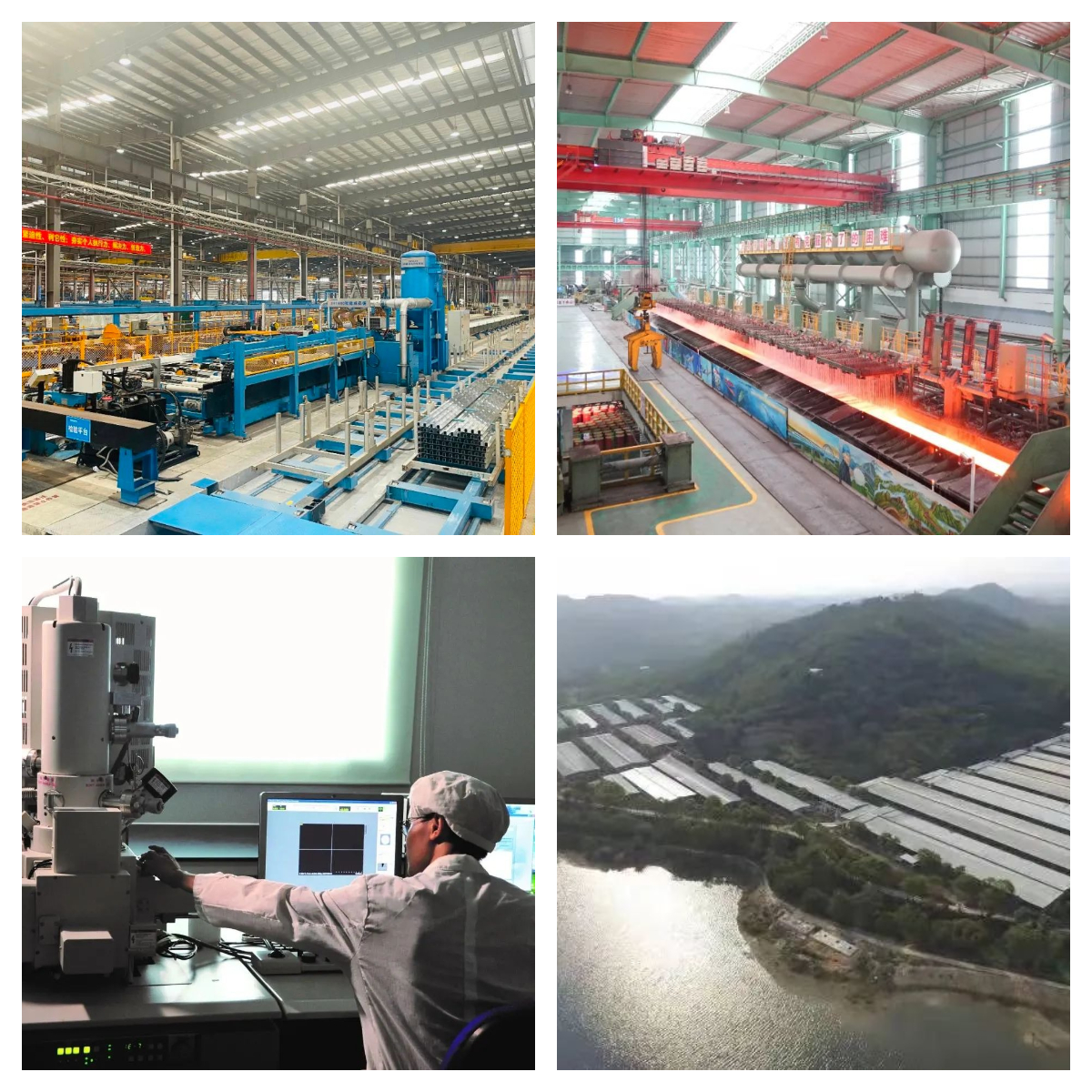 【国企改革三年行动】球王会：强化创新驱动，引领企业高质量发展