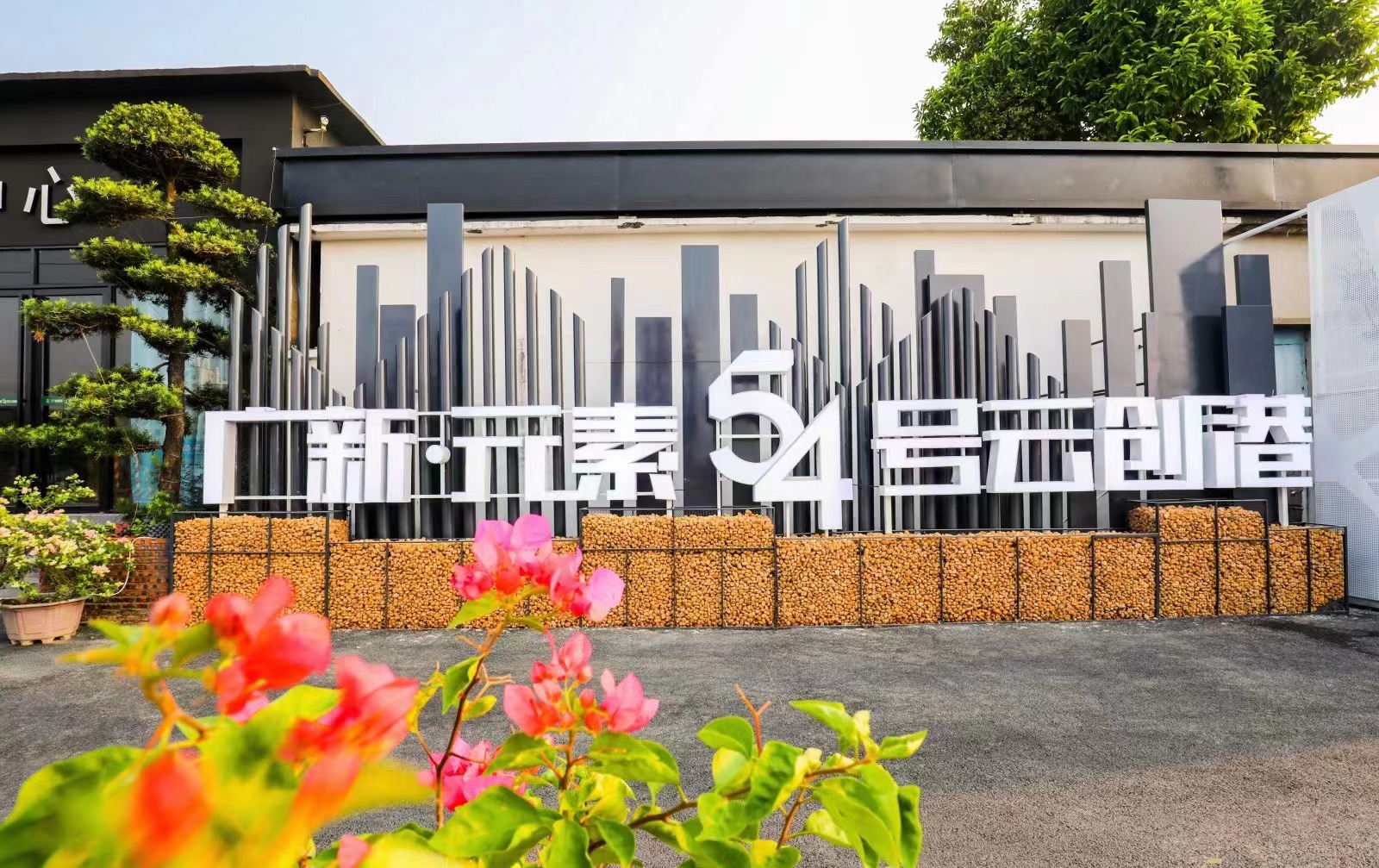 盘活存量国有资产　助力球王会高质量发展