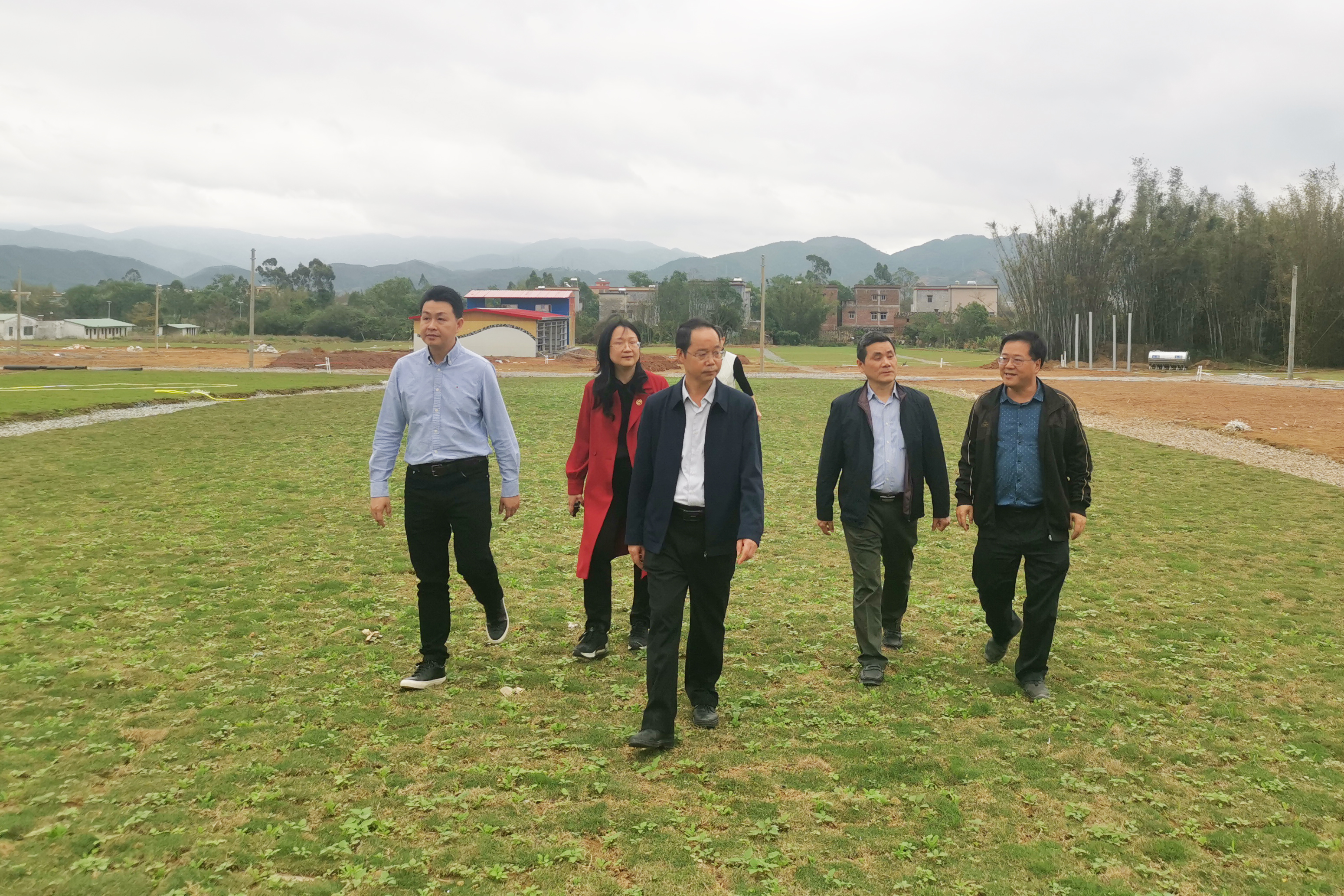 球王会党委副书记、董事、工会主席黄家合带队调研指导乡村振兴驻镇帮扶工作