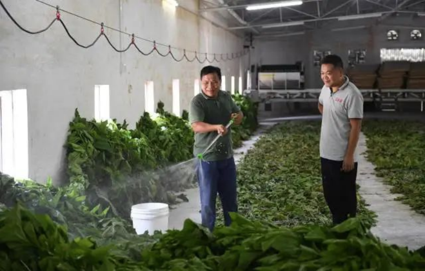 南方农村报报道：球王会为和美乡村注入“源头活水” 