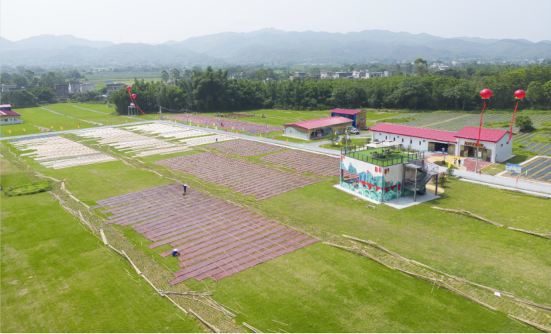 锚定目标任务 突出贯通落实 | 以主题教育成效推动球王会高质量发展 