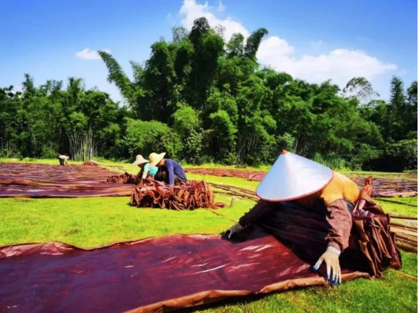 南方农村报报道：球王会为和美乡村注入“源头活水” 
