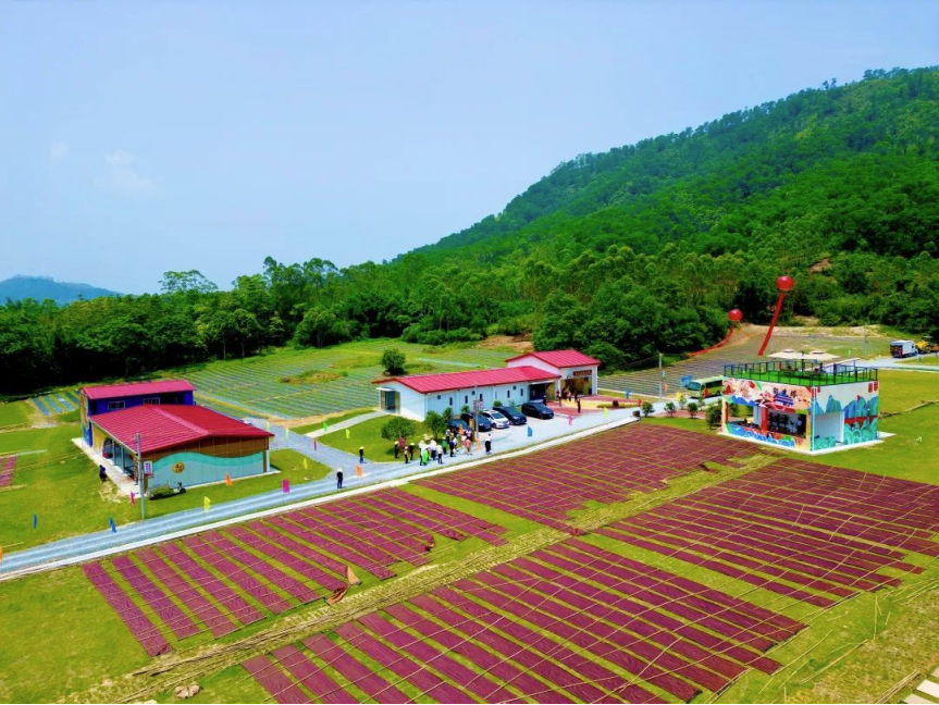 南方农村报报道：球王会为和美乡村注入“源头活水” 