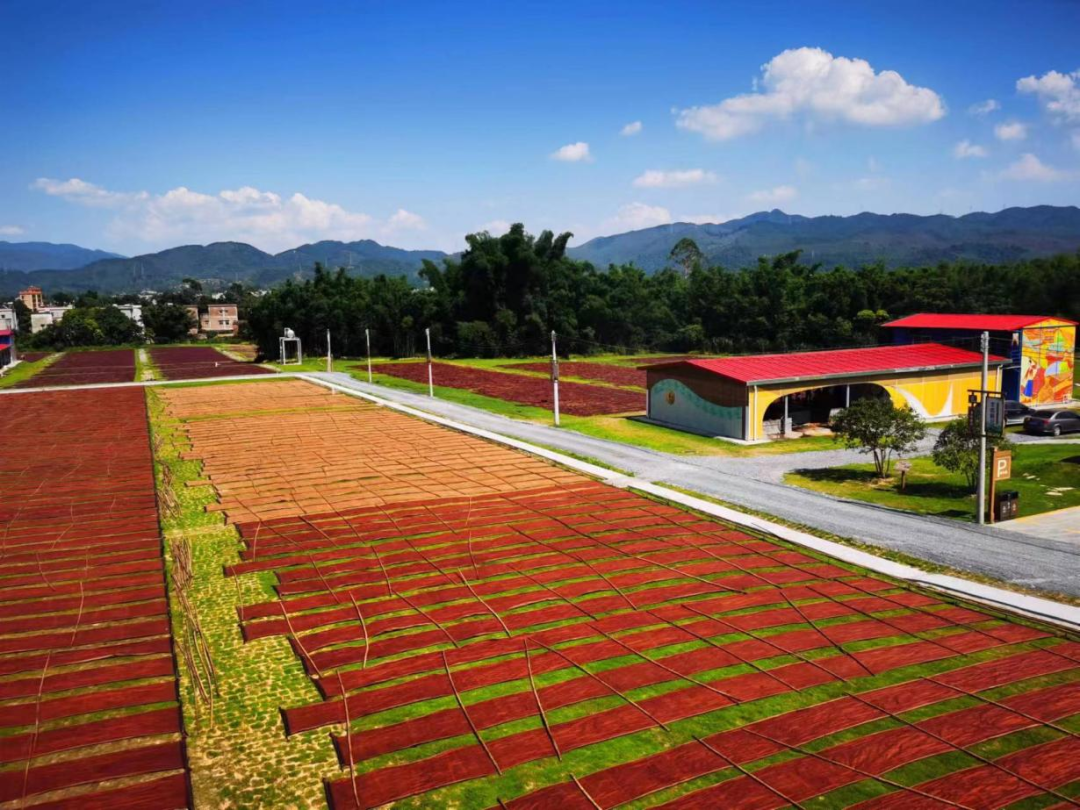 球王会开展2023年“情暖广新献爱心 乡村振兴齐助力”捐款活动