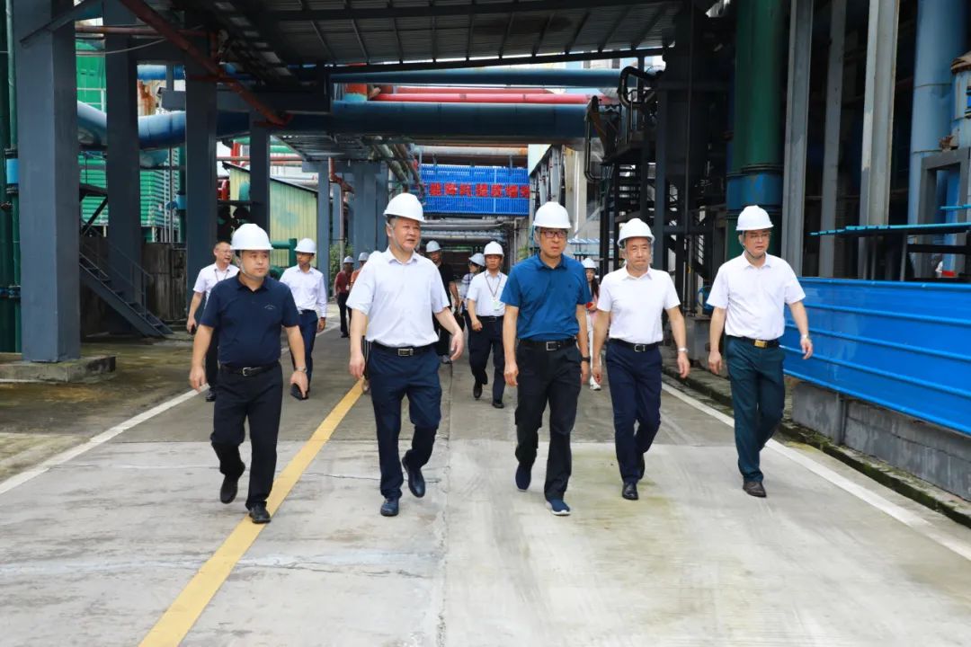 省国资委党委委员、副主任刘小龙一行到球王会开展专项工作督导